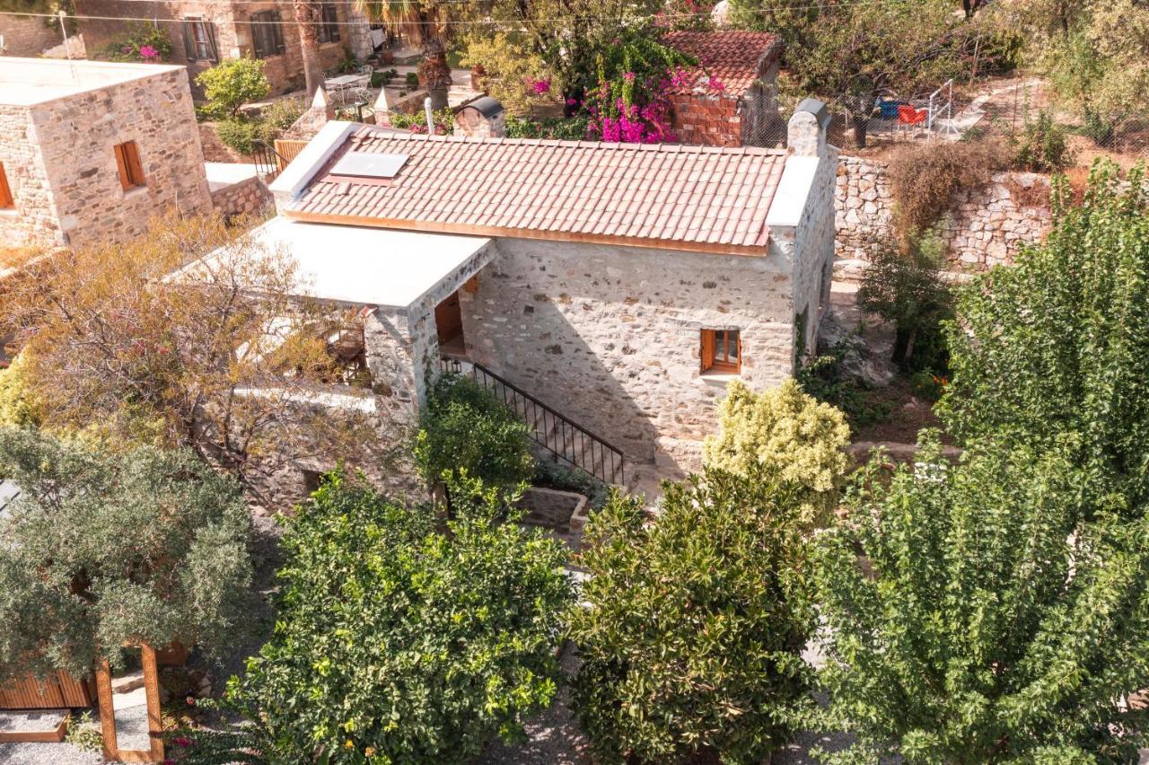 Ultava Houses ダッチャ エクステリア 写真