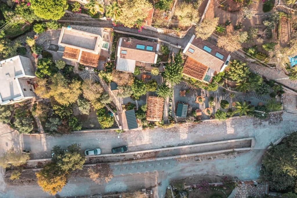 Ultava Houses ダッチャ エクステリア 写真